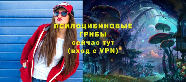 ешки Абаза