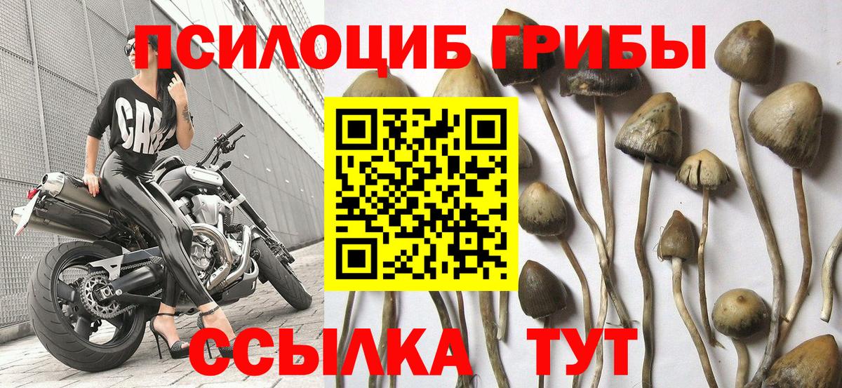 Саратов  Галлюциногенные грибы ЛСД  Вход с VPN 