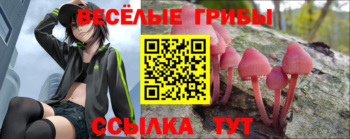 Псилоцибиновые грибы GOLDEN TEACHER Саратов